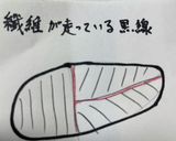 ムネ肉の柔らか切り方作り方3写真