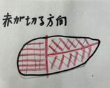 ムネ肉の柔らか切り方作り方4写真