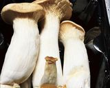 まるでマツタケ♬松茸風味のエリンギ♪作り方1写真