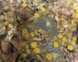 10分でお弁当☆和風鯖缶カレーピラフ作り方4写真