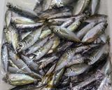 簡単！豆あじの南蛮漬け作り方1写真