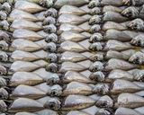 簡単！豆あじの南蛮漬け作り方2写真