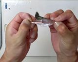 断然食べやすい！豆あじの下処理　動画有り作り方7写真