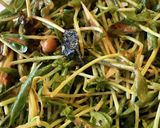 豆苗苦手も食べれる豆苗サラダ作り方4写真