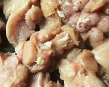 妄想料理 鶏胸肉のオオバコお好み焼き作り方2写真