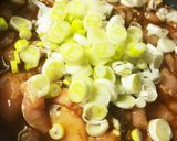 妄想料理 鶏胸肉のオオバコお好み焼き作り方5写真