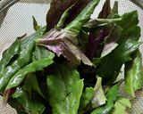 金時草(汁)のちらし寿司作り方2写真