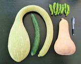 フレッシュな高原野菜で☀我が家のポテサラ作り方1写真