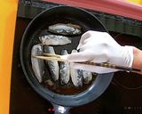 金太郎イワシの親子丼【食遺産】作り方4写真