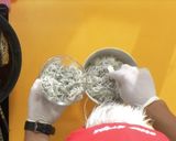 金太郎イワシの親子丼【食遺産】作り方7写真
