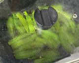 とろじゅわぁ〜の八代おくらの焼きびたし作り方10写真