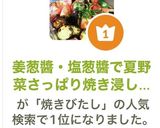 姜葱醬・塩葱醬で夏野菜さっぱり焼き浸し✨作り方9写真