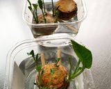山わさびの醤油漬け作り方6写真
