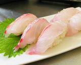 【真鯛】自分で捌こう!お得な真鯛作り方4写真