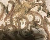 鰯の骨のオカラ粉だけレンチン健康カリカリ作り方2写真