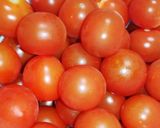 手羽元のミニトマト煮込み作り方1写真
