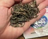 もやしは便利　もやしのオオバコお焼き作り方4写真