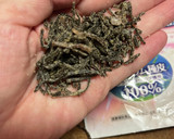 もやしは便利　もやしのオオバコお焼き作り方4写真