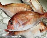 【切り身でも簡単】魚の塩釜焼き作り方2写真