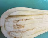 白ナスカップグラタン　ゴマ味噌マヨ★簡単作り方5写真