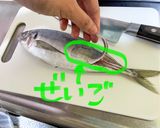 王道!アジの三枚おろし作り方1写真