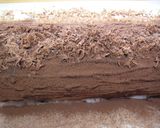 濃厚チョコロールケーキ作り方20写真