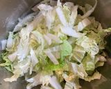 パクパクいけちゃう！白菜サラダ作り方1写真