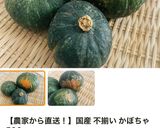 減量末期用　塩だけであまい！蒸しかぼちゃ作り方5写真