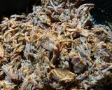 Pulled Pork作り方24写真