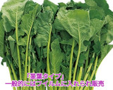 うちの味☆菜花がメイン❣とろ～りあんかけ作り方1写真