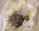 ＊副菜＊シャキっと白菜の昆布漬け作り方1写真