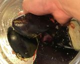 茄子の浅漬け作り方7写真