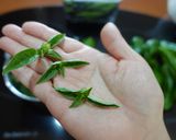 お財布に優しいなんちゃってジェノベーゼ作り方2写真