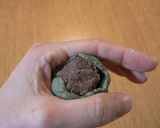 よもぎまんじゅう作り方7写真