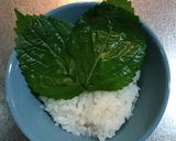 お刺身のっけ丼作り方2写真
