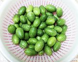 メロン胡瓜(スイカ胡瓜)の辛子漬け作り方1写真