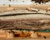 焼き秋刀魚の食べ方作り方7写真