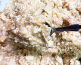 蓮根と豆腐と鶏ミンチのカリふわ揚げ作り方7写真
