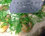 蓮根焼牡蠣作り方17写真
