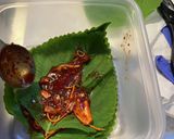 えごまの葉のキムチ作り方3写真