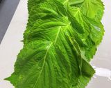 荏胡麻の葉のキムチ作り方1写真