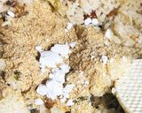 セロリの葉えのき舞茸の炊き込みご飯作り方2写真