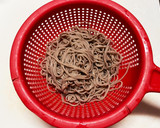 温玉のせ月見そば作り方1写真