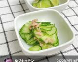 おばけきゅうりツナと酢の物やサラダで消費作り方13写真