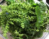 青しその実のだし醤油漬け作り方1写真
