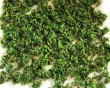 青しその実のだし醤油漬け作り方4写真