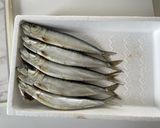 いわしをフライパンで焼く作り方1写真