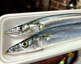 大葉が香る✨秋刀魚の巻き寿司作り方1写真
