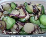 茄子と胡瓜のあっさり生姜漬け☆作り方3写真