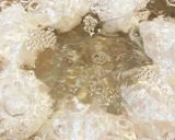 孫に残したいばぁばの鳥手羽元のお酢煮作り方2写真